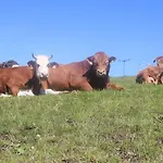 Farm stay Schwoererhof *