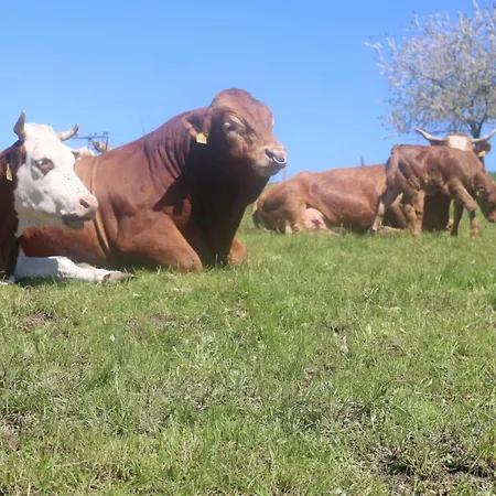 Séjour à la ferme Schwoererhof Schweighausen