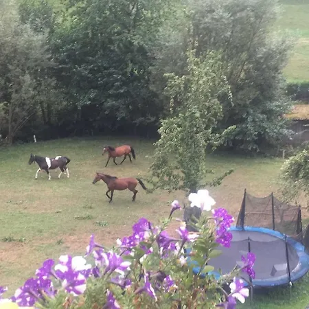 Schwoererhof Farm stay Schweighausen