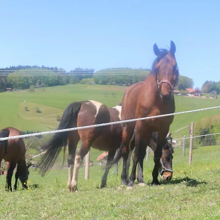 Schwoererhof * Schweighausen