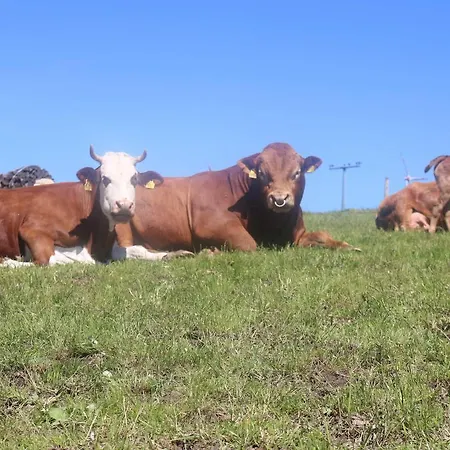 Farm stay Schwoererhof *