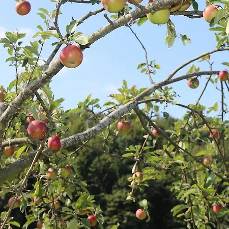 Schwoererhof * Schweighausen