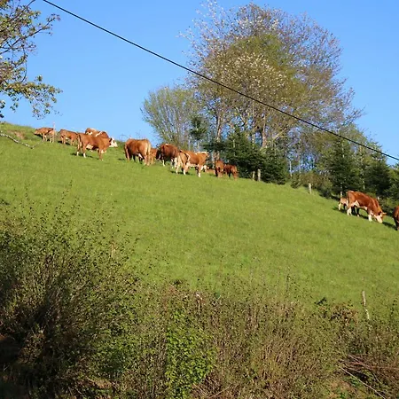 Schwoererhof * Schweighausen